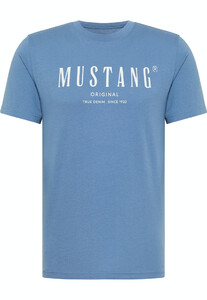 Mustang T-Shirts  heren  1013802-5169