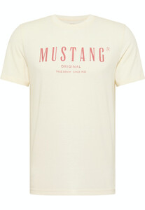 Mustang T-Shirts  heren  1013802-8001