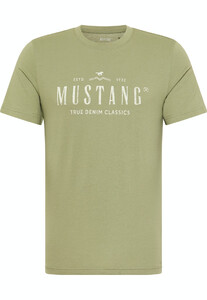 Mustang T-Shirts  heren  1013824-6273
