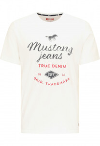 Mustang T-Shirts  heren  1010713-2020